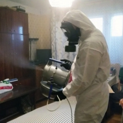 Дезинфекция от клопов в Кимрах