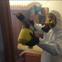 Уничтожение клопов в квартире. Кимры