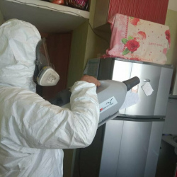 Уничтожение насекомых в квартире. Кимры